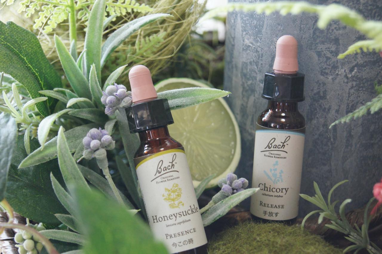 手放しのエッセンス・チコリー