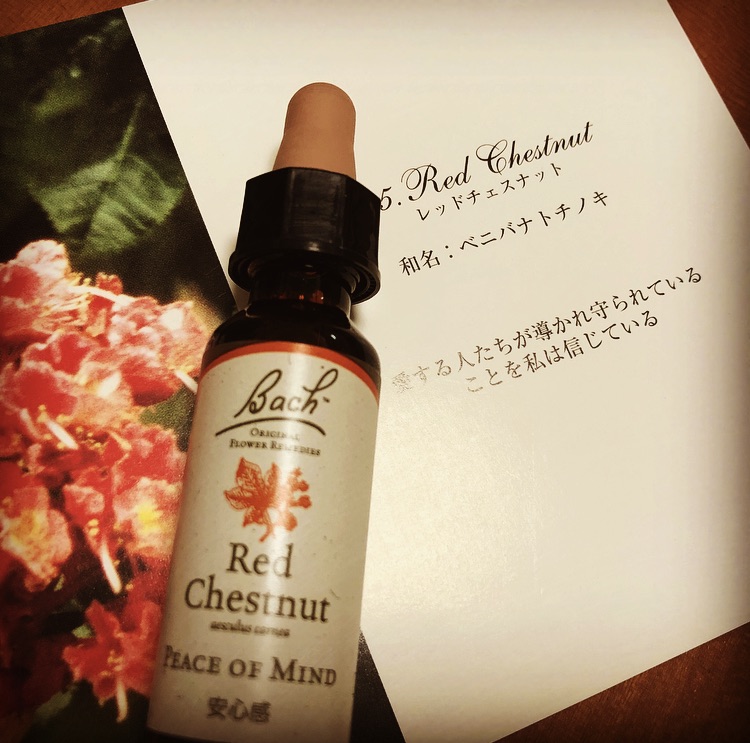 レッドチェストナット